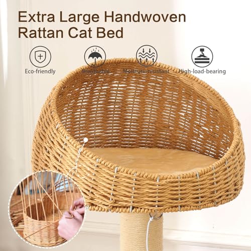 50 in Wooden Cat Tree for Indoor Cat (50IN)
