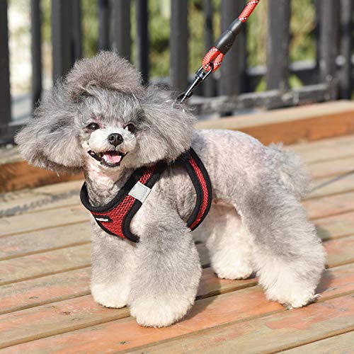 Dog Harness Step (Red / Small (Chest 11.5''-14'', Weight 8-11 lb))