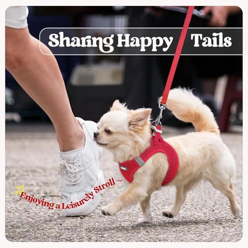 Dog Harness Medium Sized and Leash Set (Red / Xxl (chest: 21.6 - 23.7"))