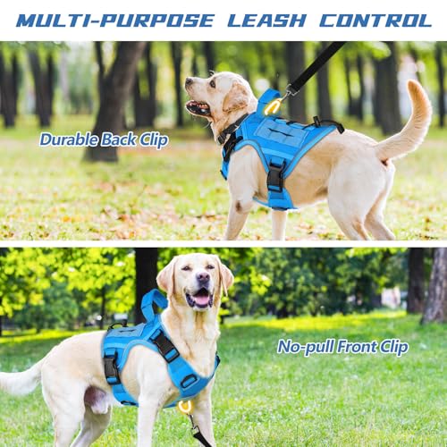 Blue Tactical Dog Harness for Small Dogs (Blue / Small: 15-30 lbs (Chest:20-26",Neck:15-18"))
