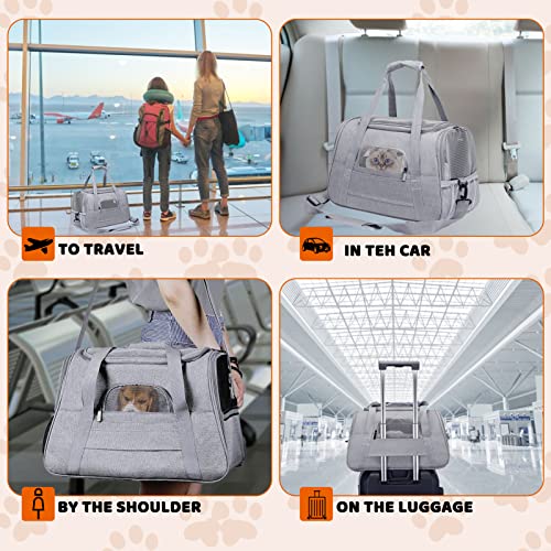 Pet Carrier Bag Airline Approved Up for Cats and Dogs Up to 20LBs