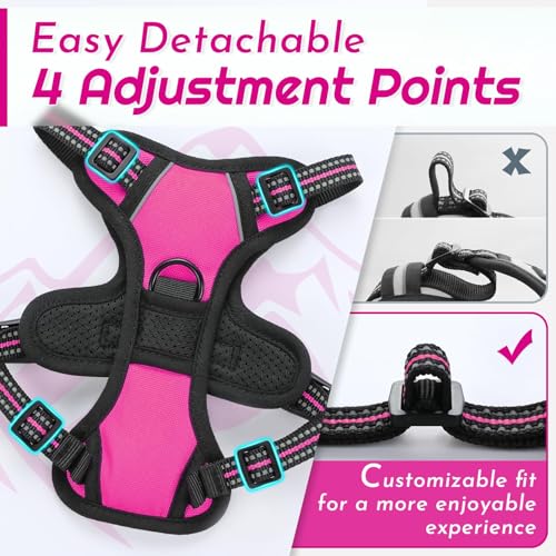 Dog Harness for Small Dogs (X-Small / Rose Red)