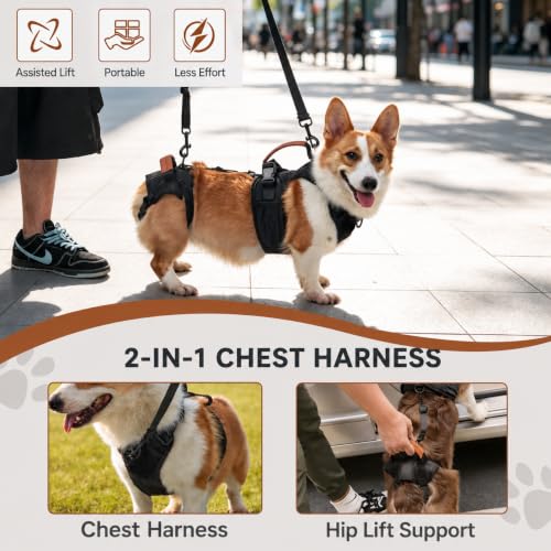 Dog Lift Harness for Senior and Injured Dogs (M)