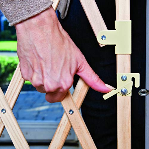 Expansion Walk (Natural Wood)