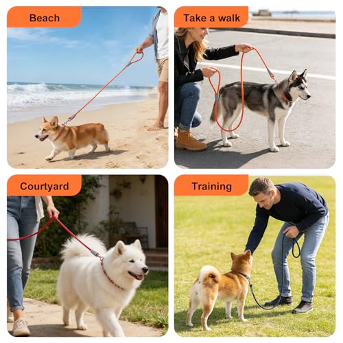 5FT Nylon Waterproof Dog Leash (Blue-B)