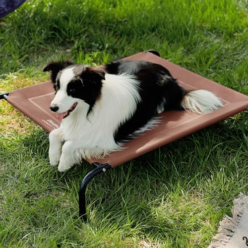 Outdoor Elevated Cooling Dog Bed Large Sized Dog (Terracotta / 49"L x 31.5"W x 8"Th)