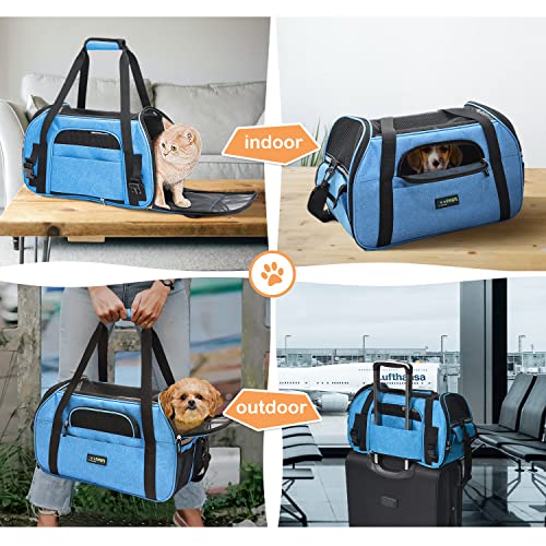Soft Sided Airline (19.0"L x 10.0"W x 13.0"H / Turquoise Blue)