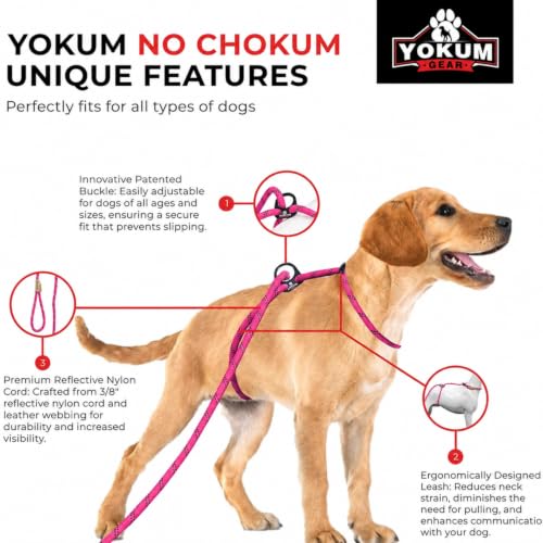 12ft No Pull No Choke Leash Long Rope Dog Leash (12 Ft / HOT PINK)