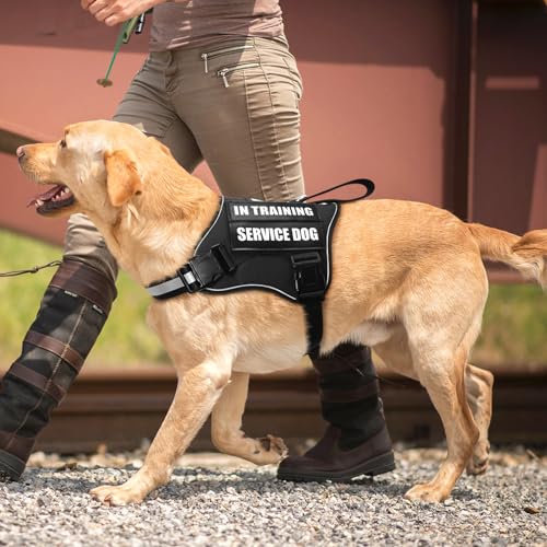 Service Dog Vest Harness and Leash Set+10 Patches (Small / Black)