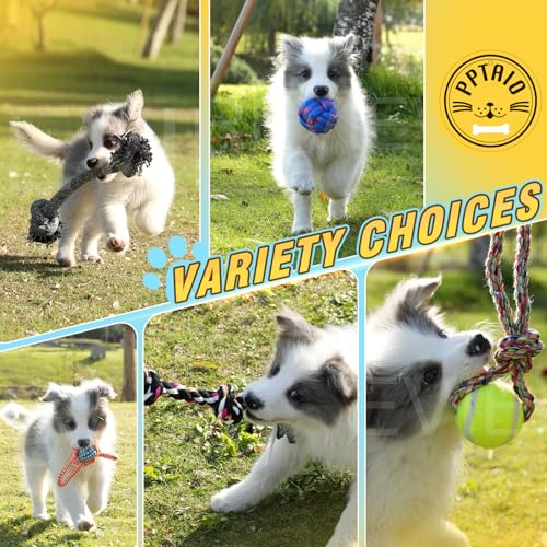 Dog Rope Toys for Small