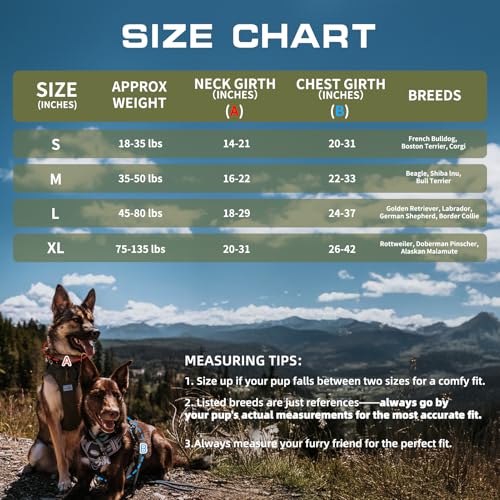 Dog Harness for Small Medium Dogs (Green - Deep Enrich / S(Neck:14-21",Chest:20-31"),18-35 lbs)