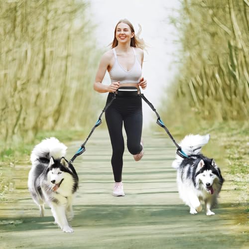 Hands Free Dog Running Leash with Adjustable Waist Belt (Large)