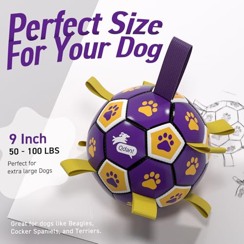Extra Large Dog Toy Soccer Ball (Purple Yellow / 9 Inch)