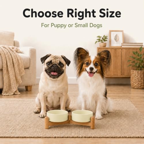 Ceramic Dog Bowls Elevated (Light Yellow)