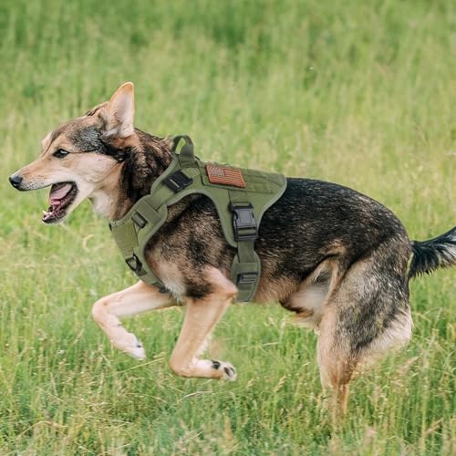 Tactical Dog Harness for Large (Green / Large)