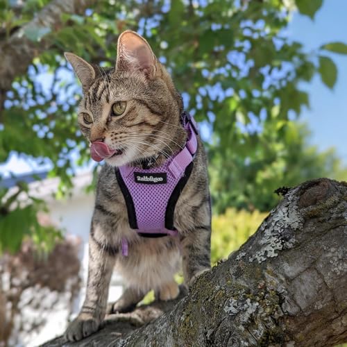 Cat Harness and Leash Set (S / Light Purple)