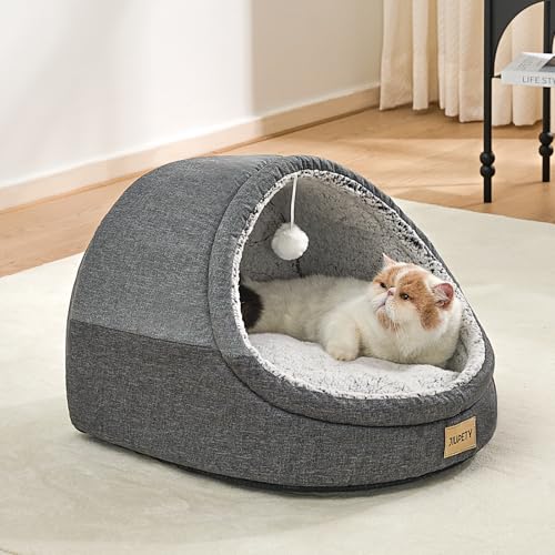 Cute Cat Beds for Indoor Cats (Medium / Dark Gray)