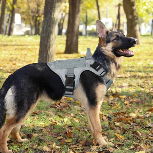 Tactical Dog Harness for Small (Grey / Small)