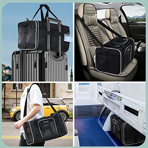 Small Pet Carrier 18" L x 11" W x 11" H Airline Approved (18.0"L x 11.0"W x 11.0"H / Black)