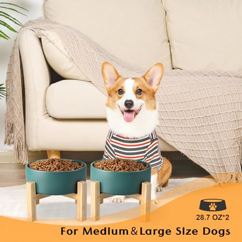 Ceramic Elevated Dog Bowls 2 Pack (Medium - 3.6 CUPS*2 / Green)