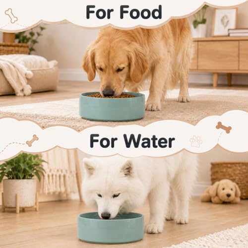 Ceramic Dog Bowls (Light Green)