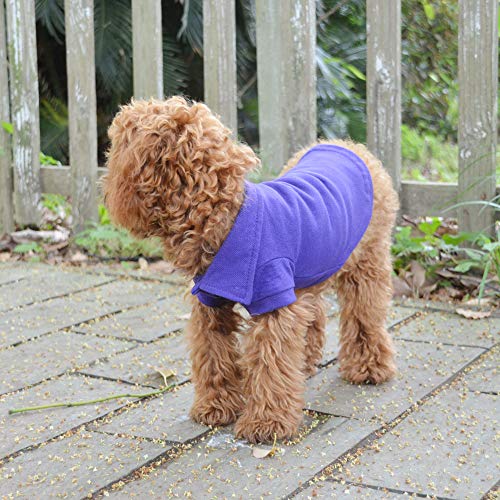 Basic Dog Polo Shirts Premium Cotton (XS (-6lbs) / Purple)
