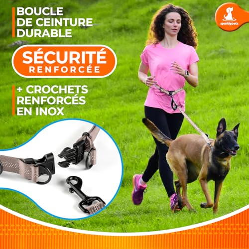 Hands Free Dog Leash (Brown / 1 dog M/L)