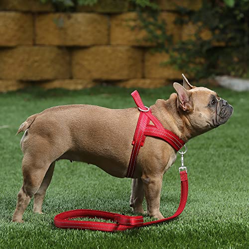 No Pull Dog Harness for Medium Sized Dog (M: chest 19.7"-25.2" / Red)