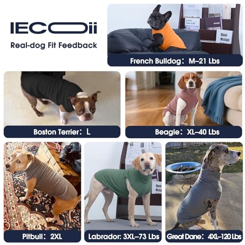 Small Dog Sweater (Medium / Black)