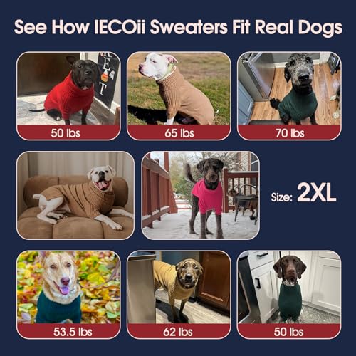 XXL Dog Sweater (Blue / XX-Large)