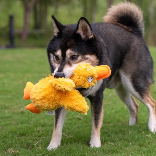Squeaky Plush Dog Toy (Ducky Doodle (Yellow) / Small)