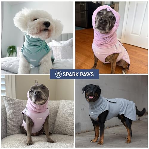 Anxiety Relief Vest for Dogs (01 Teal / Medium)