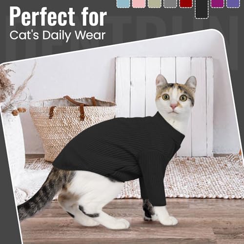 Hairless Cat Shirt (Medium / Black)