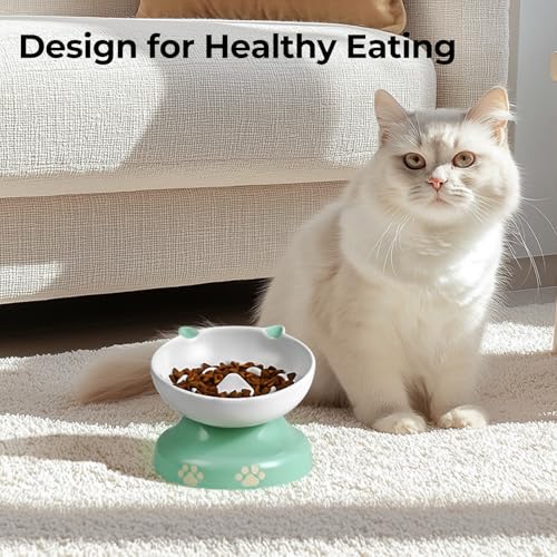 Slow Feeder Cat Bowl (Green)