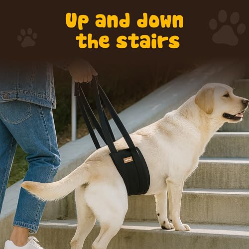 Dog Lift Harness (Small (S))