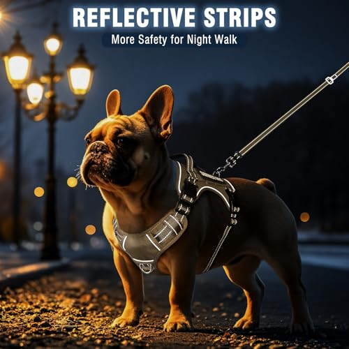 Tactical Dog Harness and Leash Set Medium Sized Dog+10 Dog Patches (Medium / Brown)