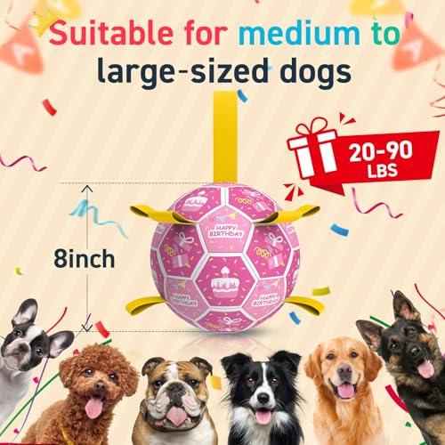 Dog Birthday Toys (Birthday / 8 Inch)