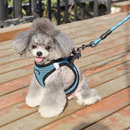 Dog Harness Step (Blue / Medium (Chest 13.5''-16.5'', Weight 10-15 lb))