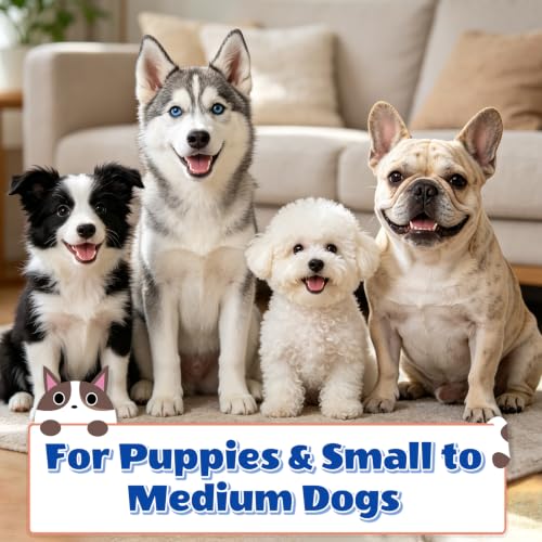 12 Pack Small Dog & Cat Toothbrush