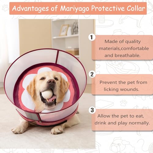 Inflatable Dog Cone Collar for Large Medium Small Dogs (Mangosteen / Small)
