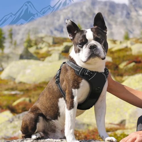 Dog Harness for Medium Sized Dogs (Medium / Black)