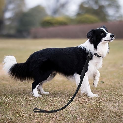 Military Nylon Bungee Dog Leash Elastic Leads (Black)