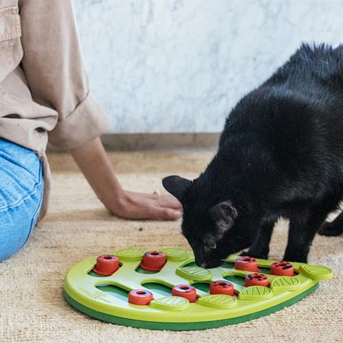 Nina Ottosson Buggin’ Out Puzzle & Play Cat Toy Treat Puzzle (Buggin Out / Treat Puzzle)