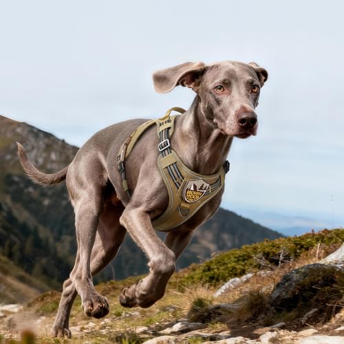 Tactical Dog Harness for Large Dogs (L(Chest:22"-37",Neck:21.1"-30.3",Back:8.3") / Brown)