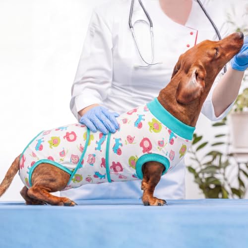Dog Recovery Suit (Mint Green / XX-Large)
