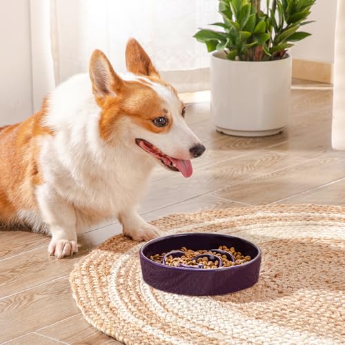 Slow Feeder Dog Bowl (M - 1.5 Cups / Dark Purple)