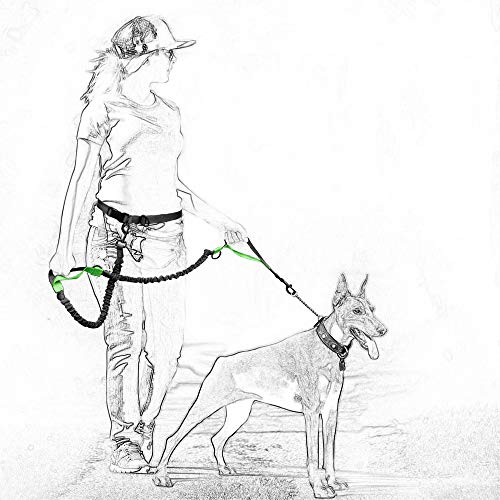 Hands Free Leash (Soild Teal / 7FT Hands Free)