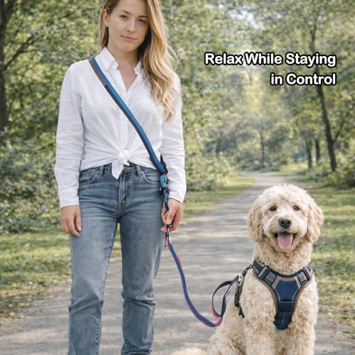 Hands Free Dog Leash with Waist Belt for Running & Walking (Sunset Blaze)