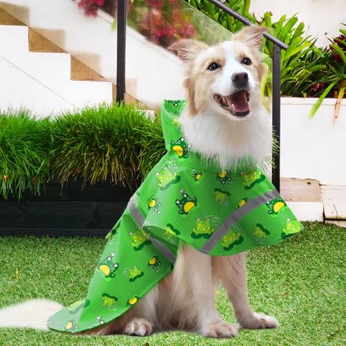 Large Dog Raincoat Adjustable (2X-Large (Pack of 1) / Green Frog)