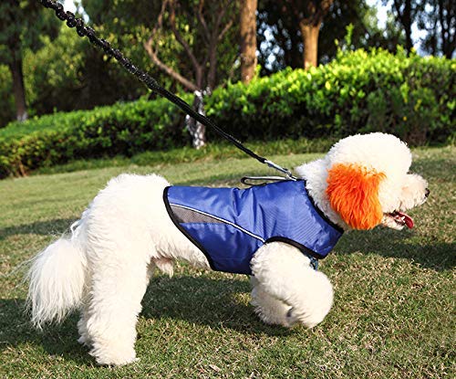 Dog Anxiety Jacket (Blue / XS)